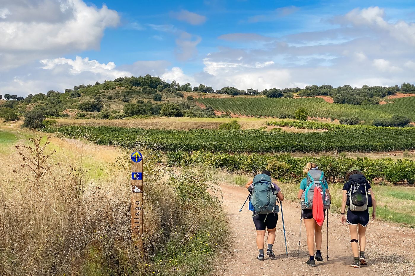 Camino Francés - Rioja