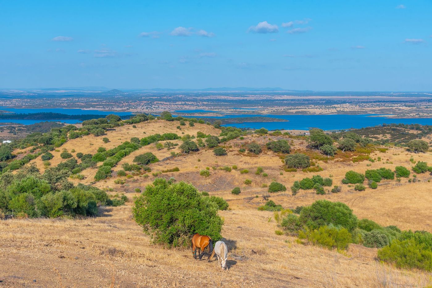 Campagne de l'Alentejo et lac d’Alqueva