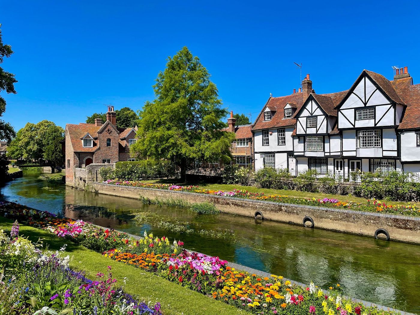 Canterbury 
