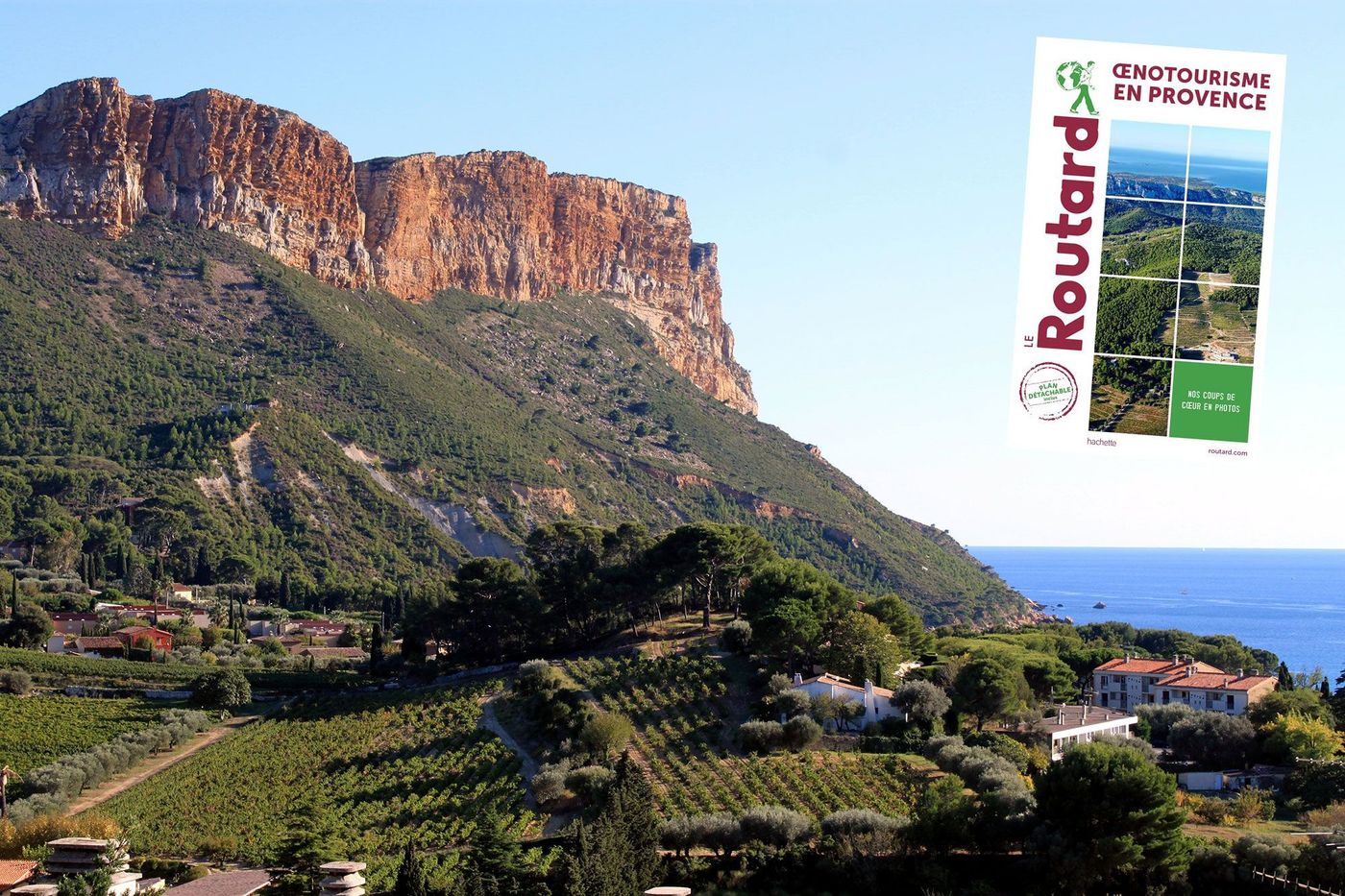 Cap Canaille - Vignobles