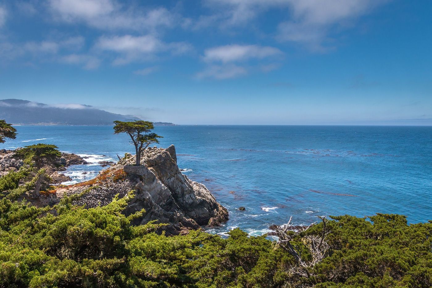 Carmel 17 mile Drive Lone Pine