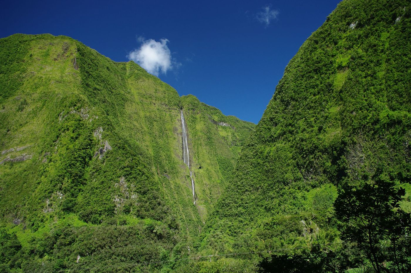 Cascade Blanche