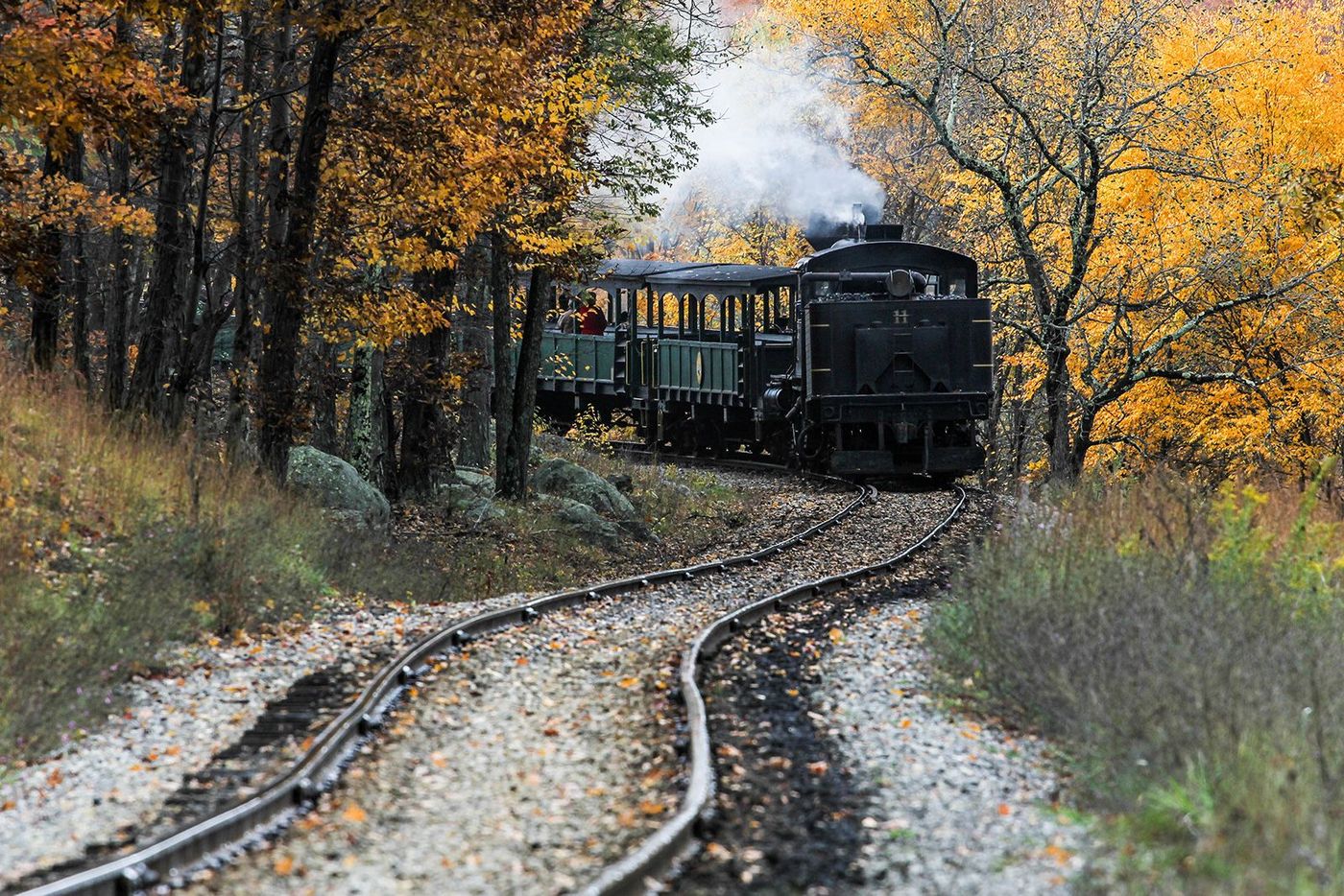 USA Train Cass Scenic Railway