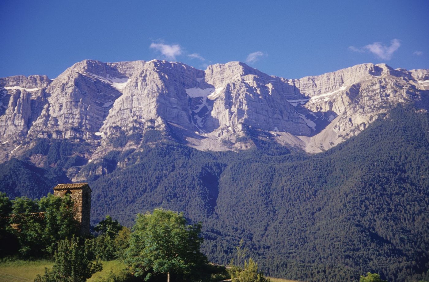 Cava - Cadi Moixero