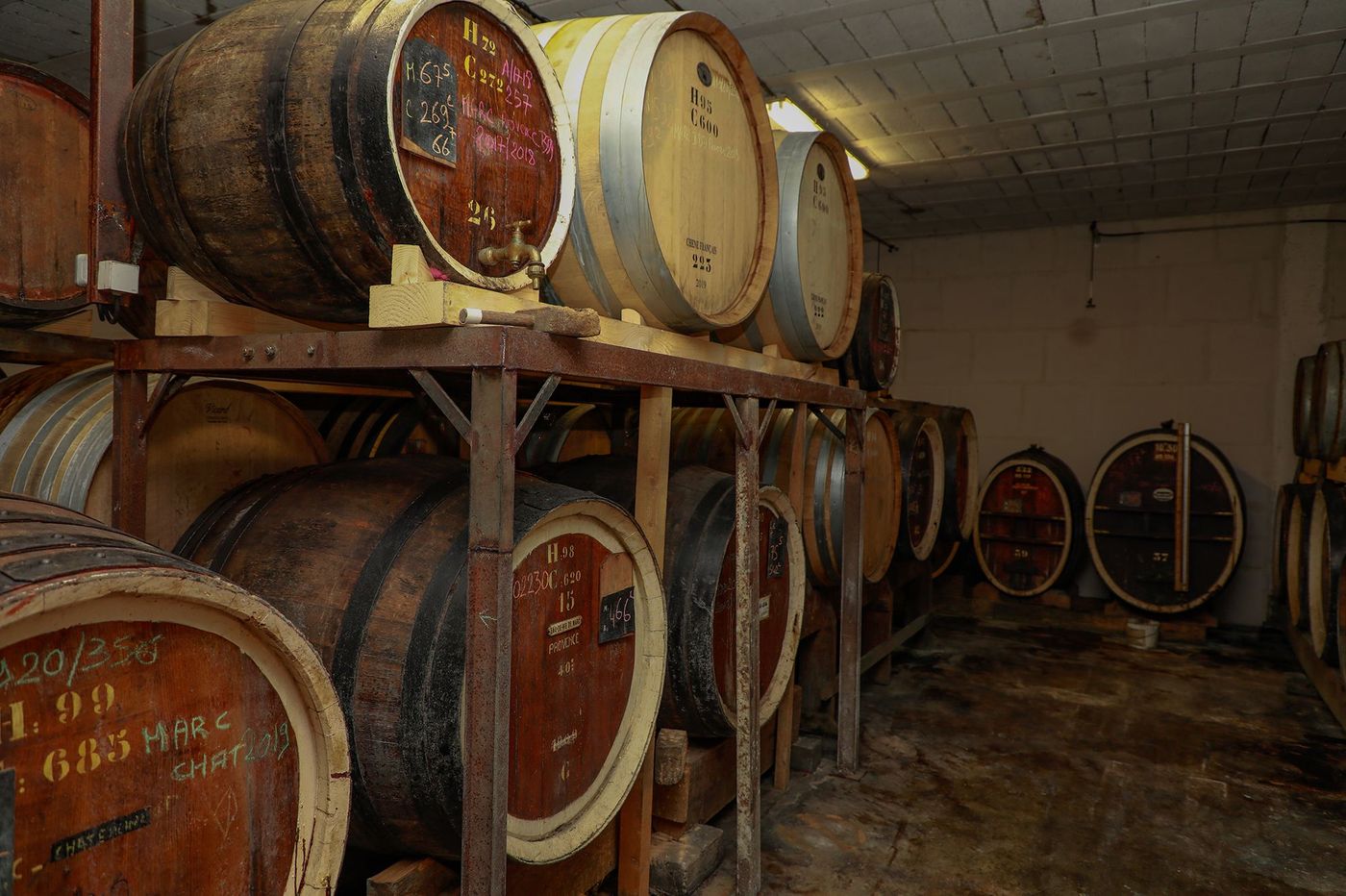 Cave de la distillerie A. Blachère