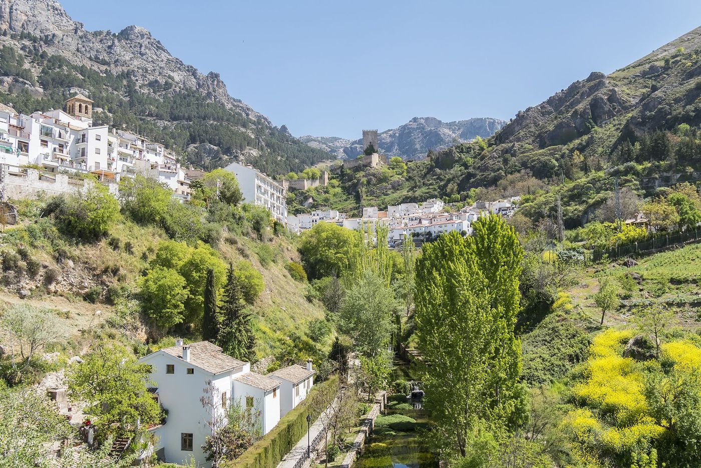 Cazorla