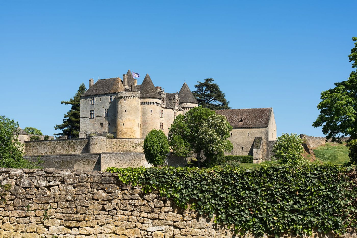 Château de Fénelon