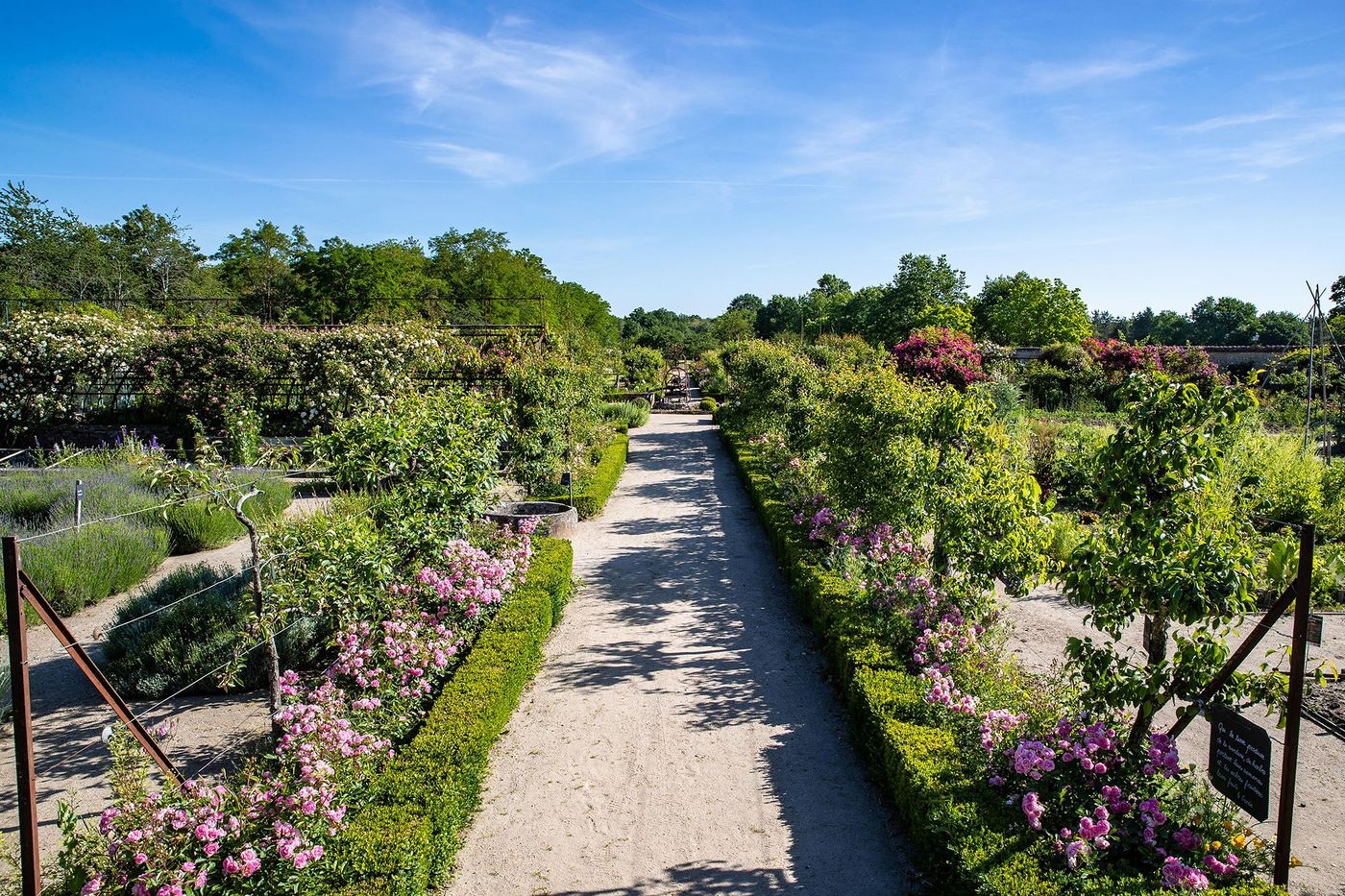 Château de la Bussière - jardin potager