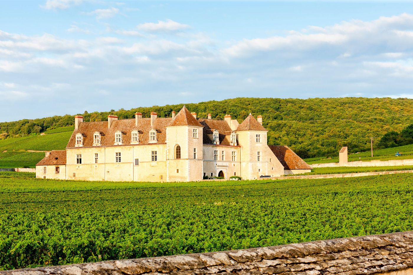 Château du Clos de Vougeot