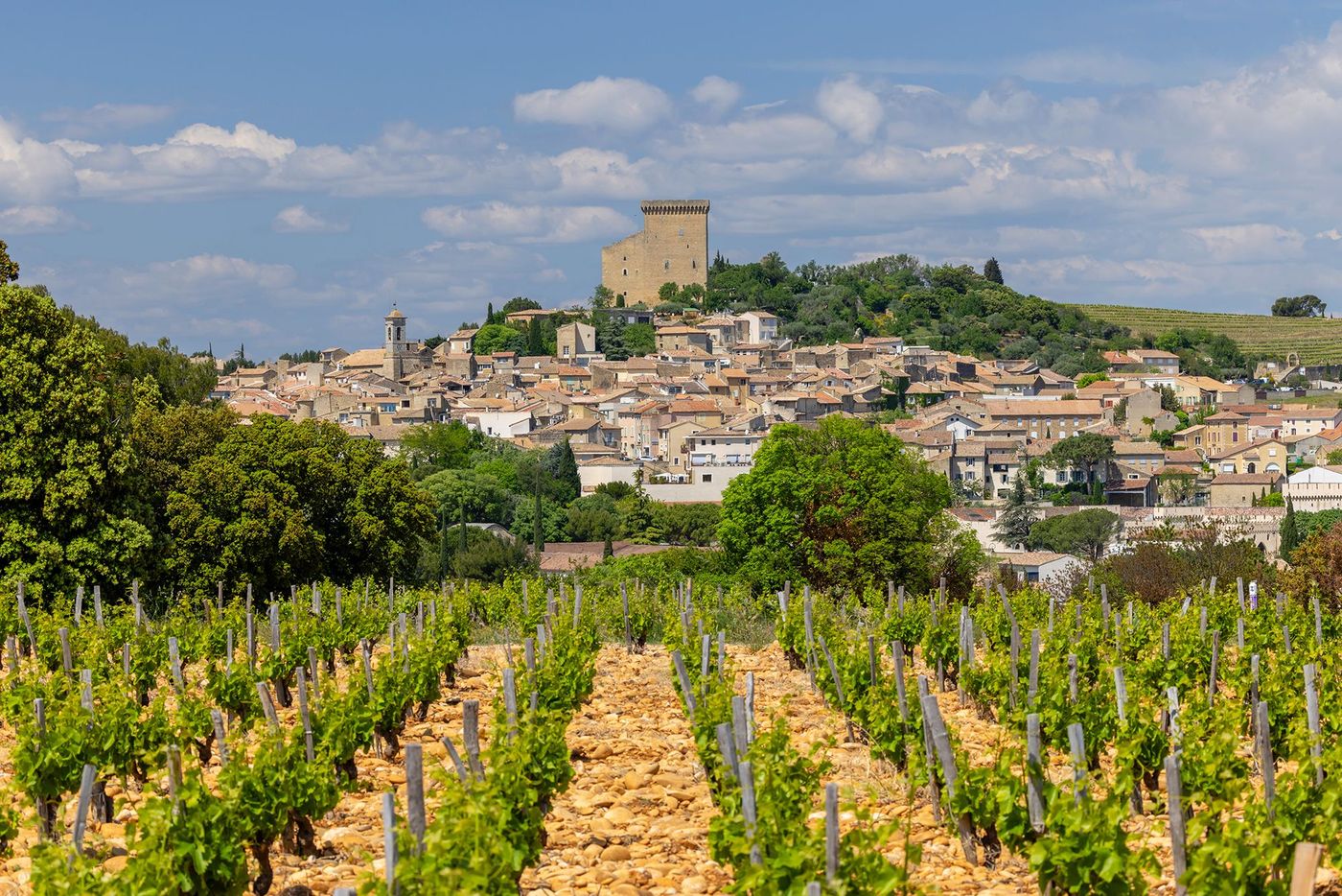 Châteauneuf-du-Pape et ses vignes