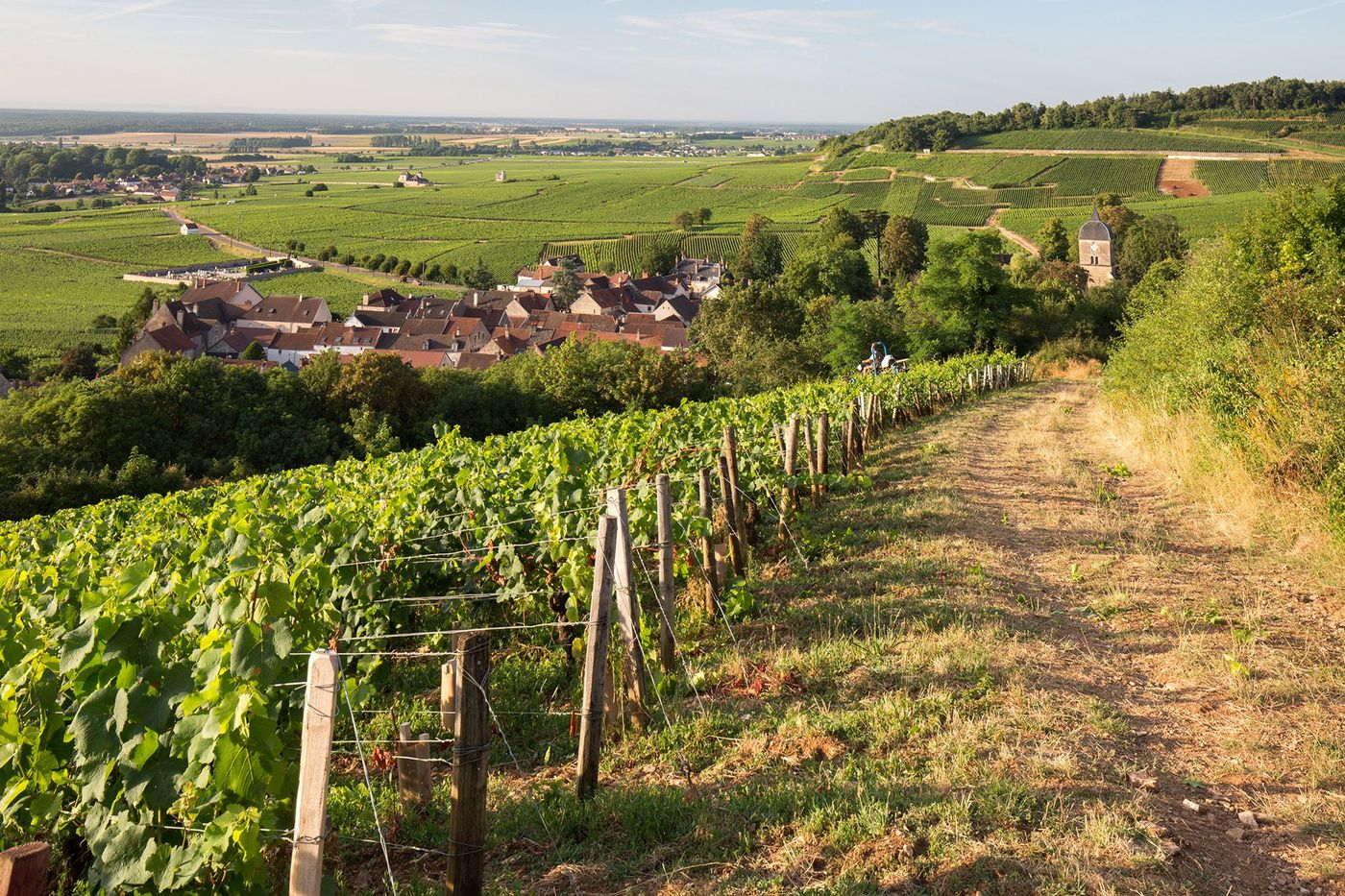 Chambolle-Musigny