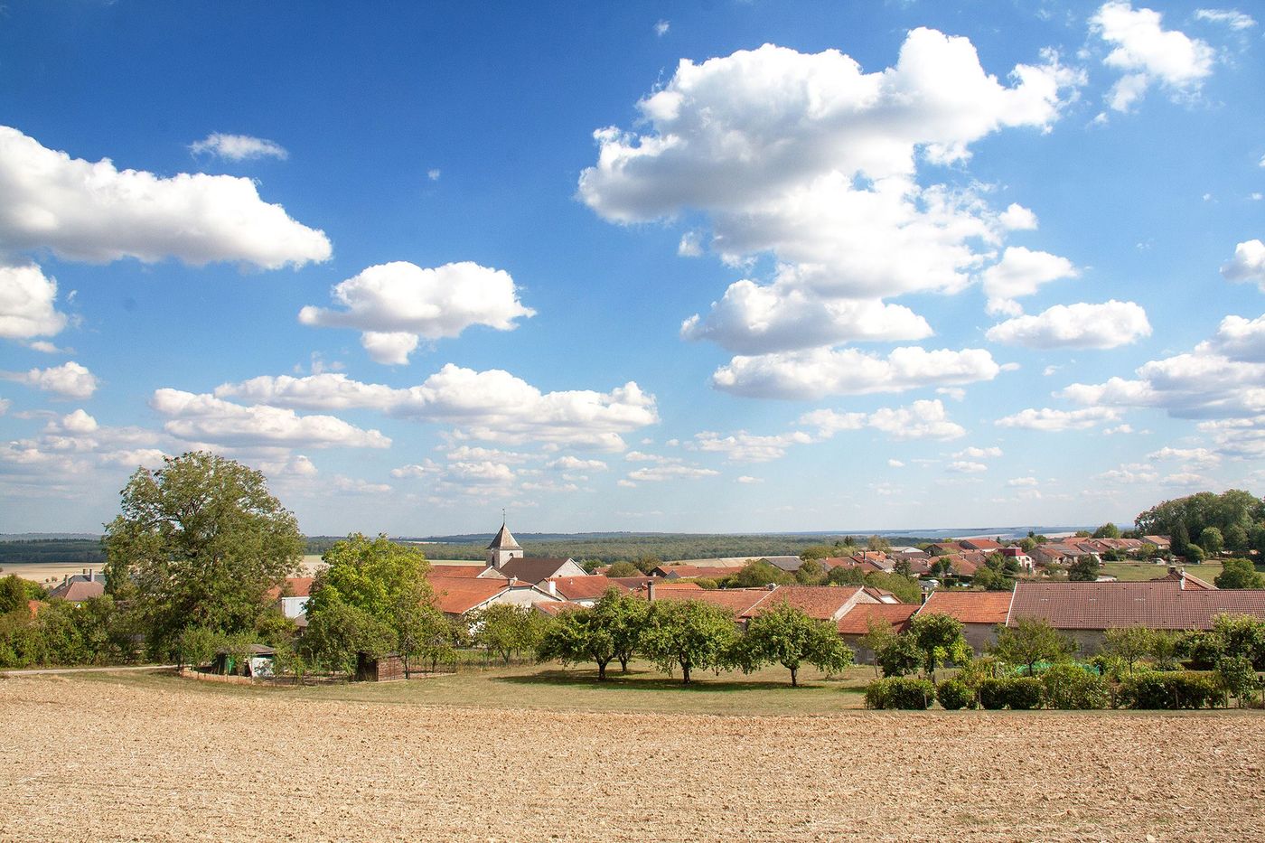 Champagne Colombey-les-Deux-Eglises