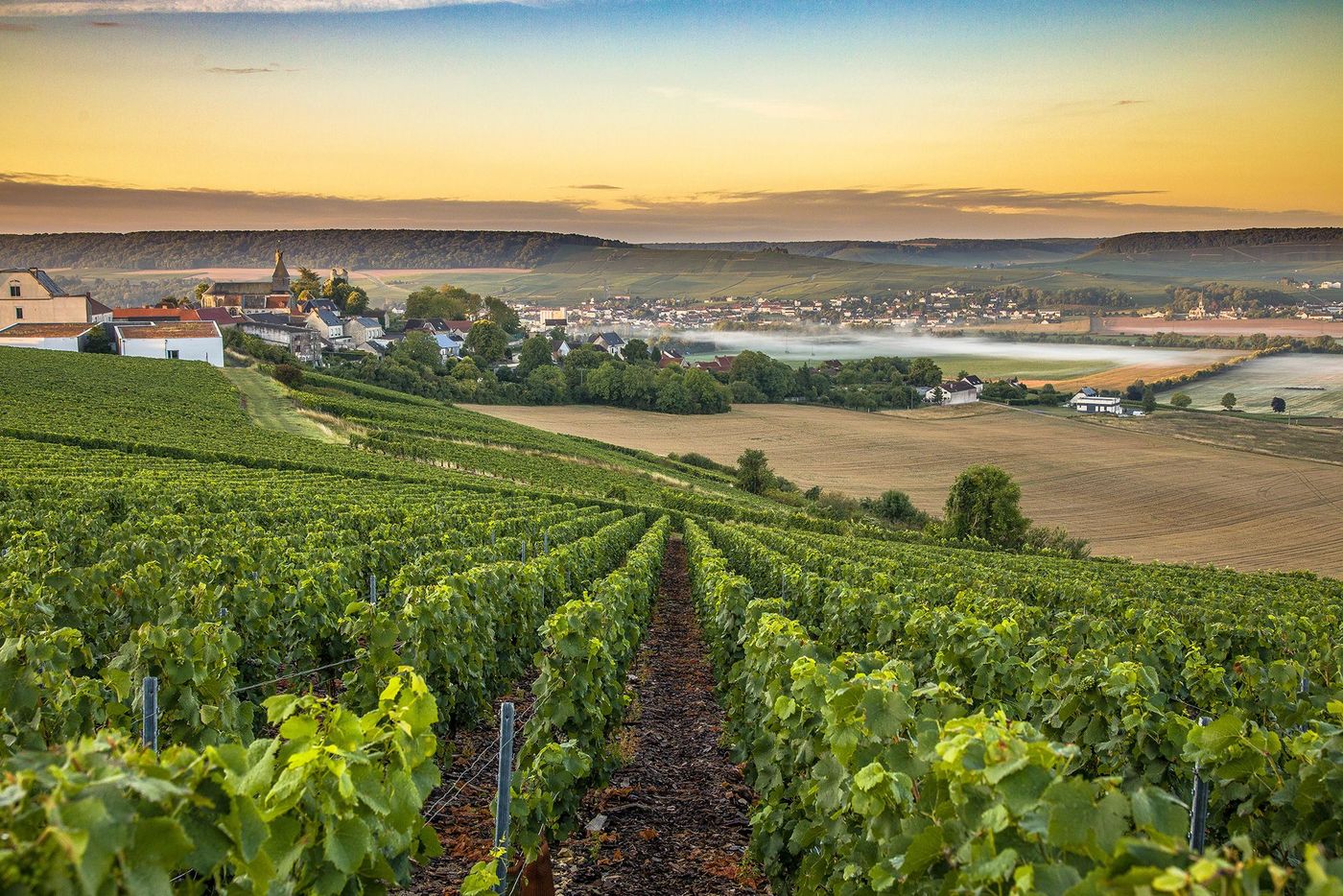 Paysage de Champagne