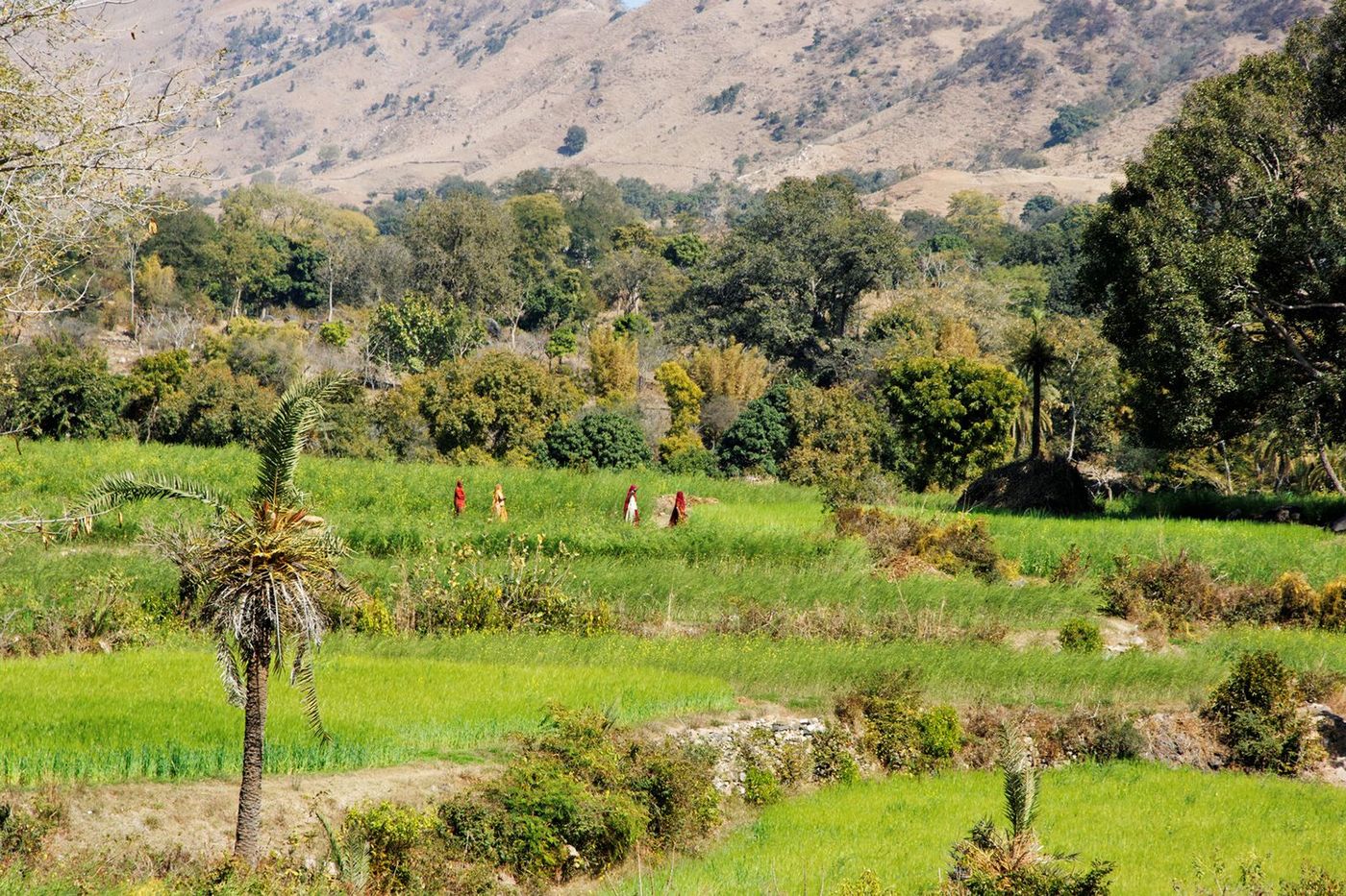 Inde Rajasthan