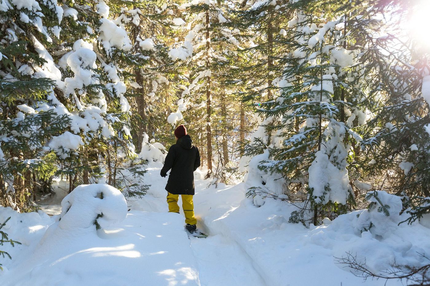 Charlevoix Raquettes à neige