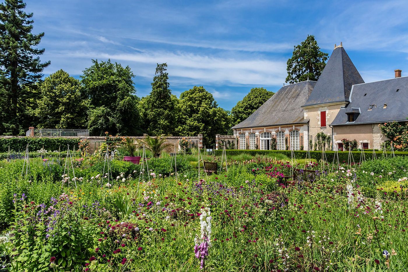 Château de Cheverny Jardin
