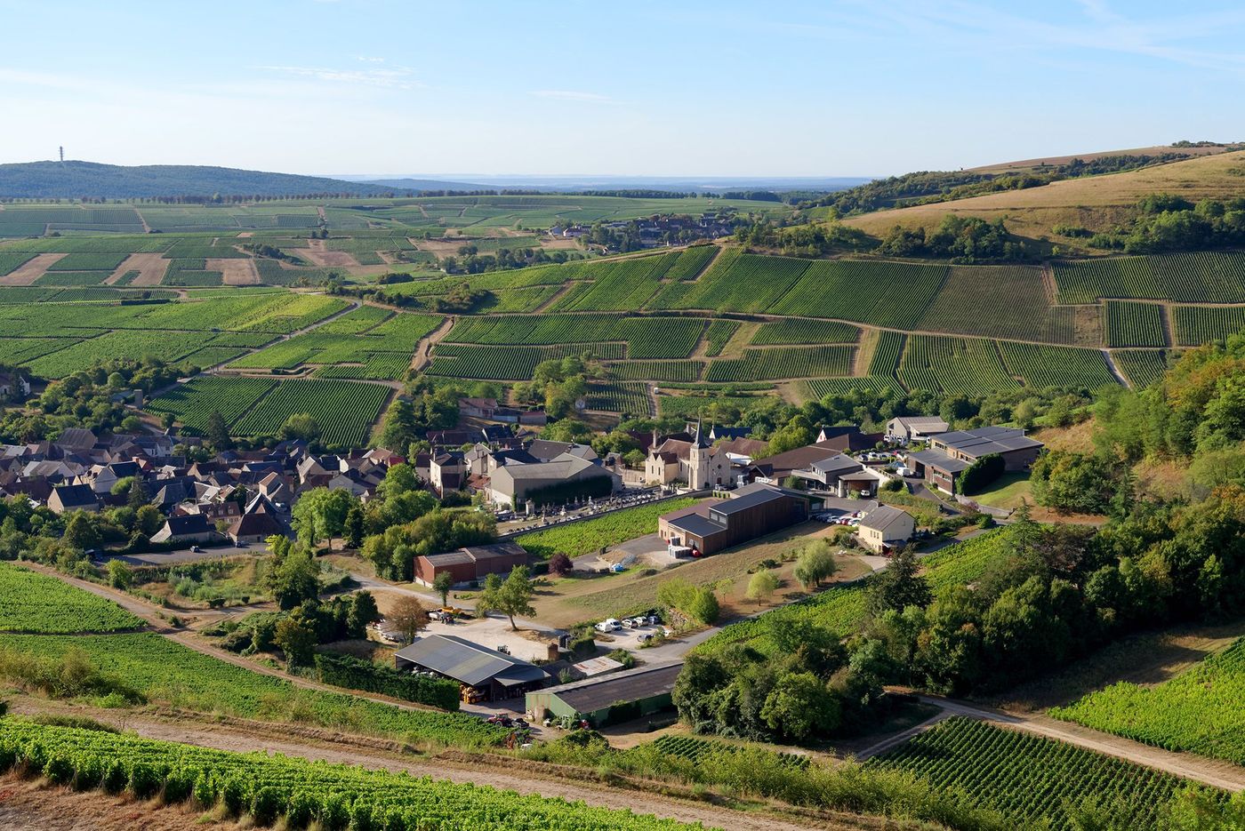 Chavignol