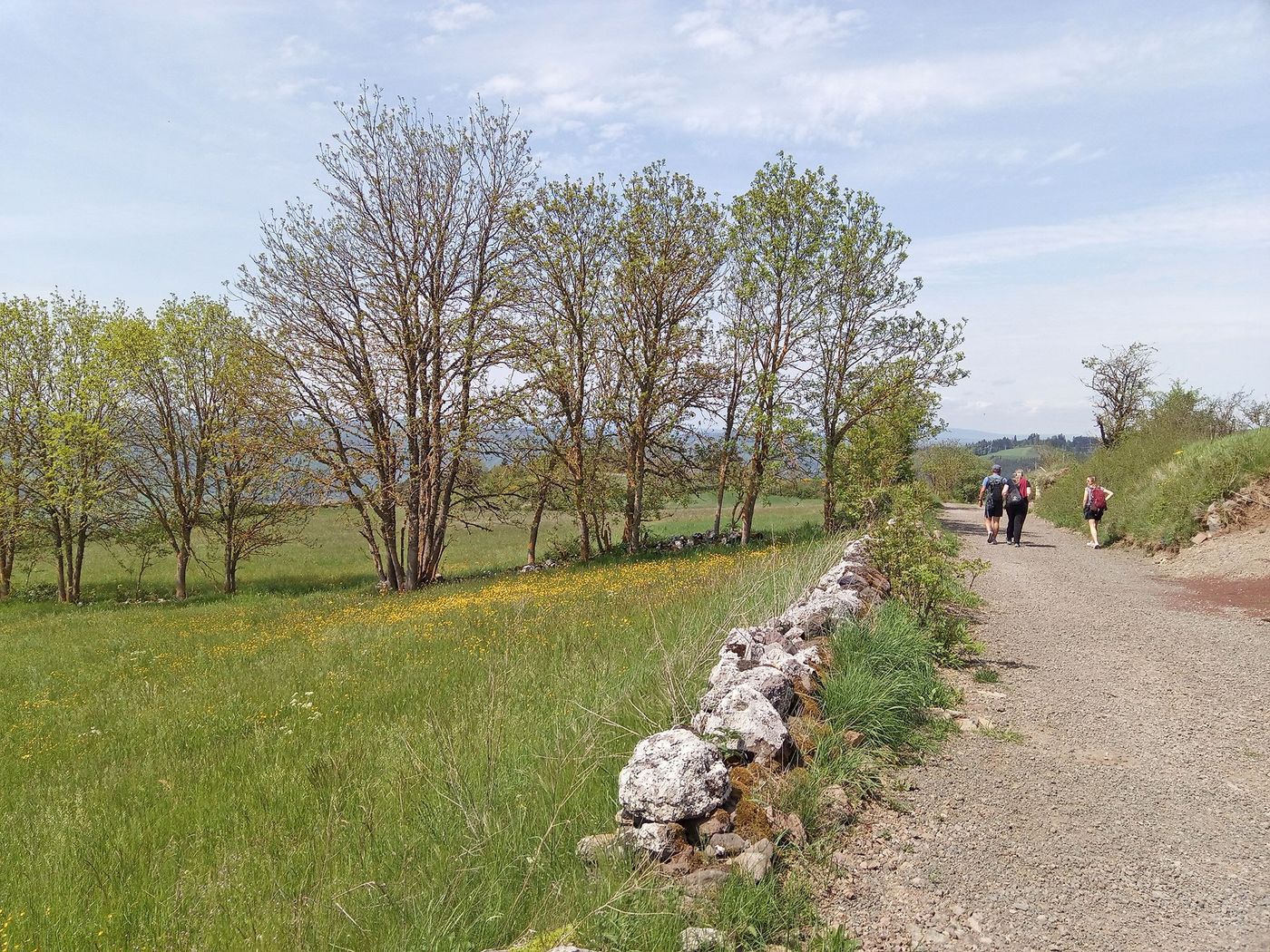 Chemin de Saint-Jacques-de-Compostelle