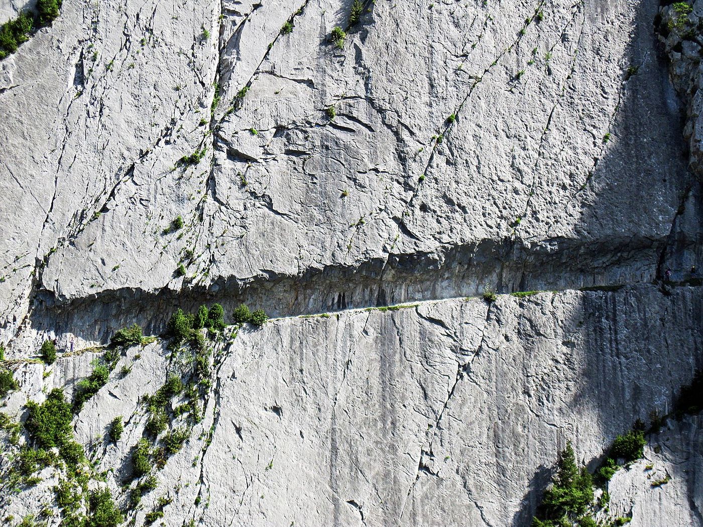Chemin Mature Pyrénées atlantique