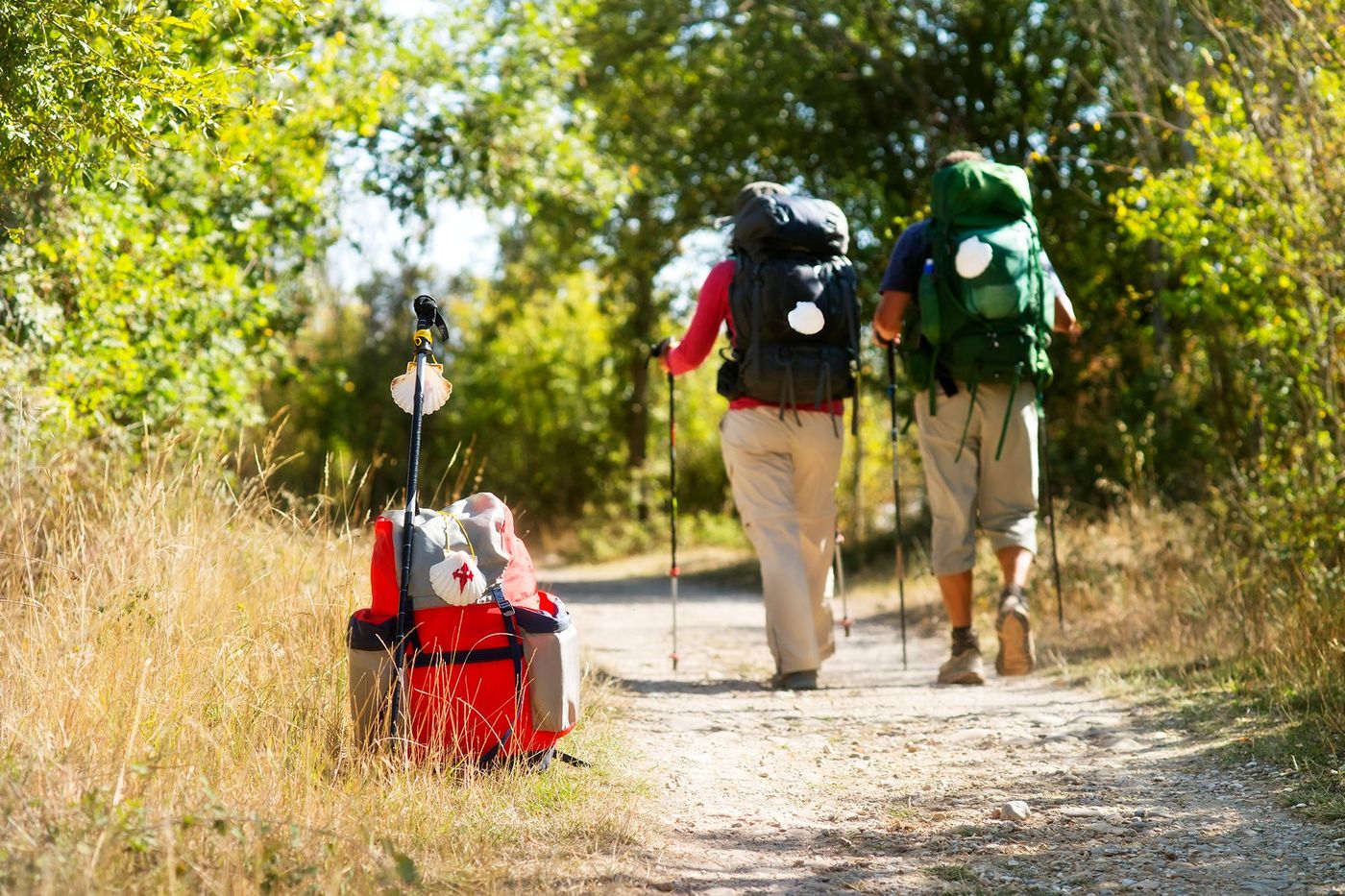 chemins de Compostelle