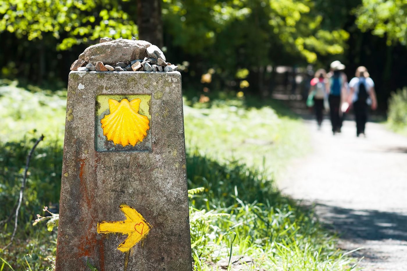 chemins de Compostelle