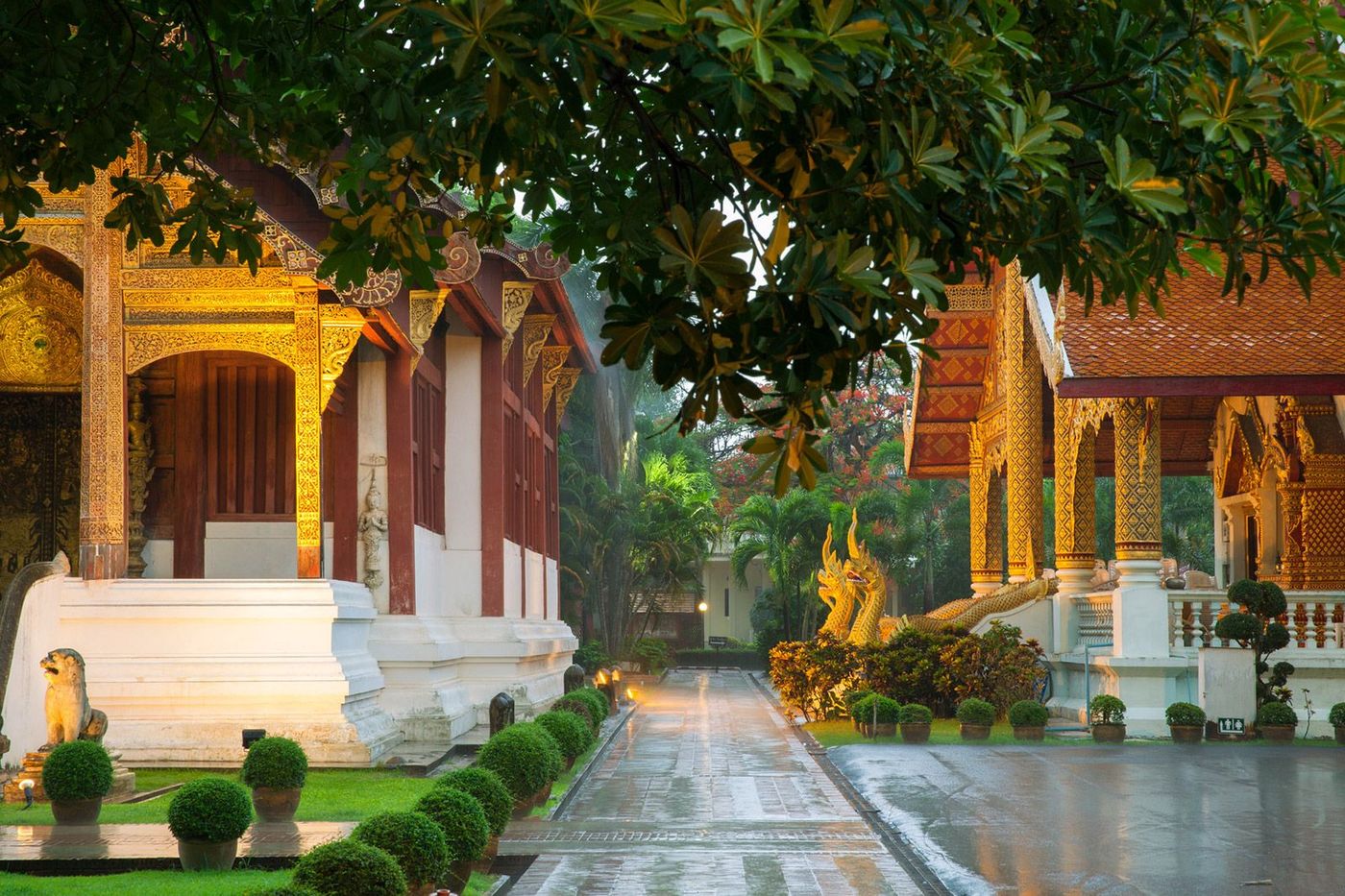 Asie Thaïlande Chiang Mai Wat Phra Singh