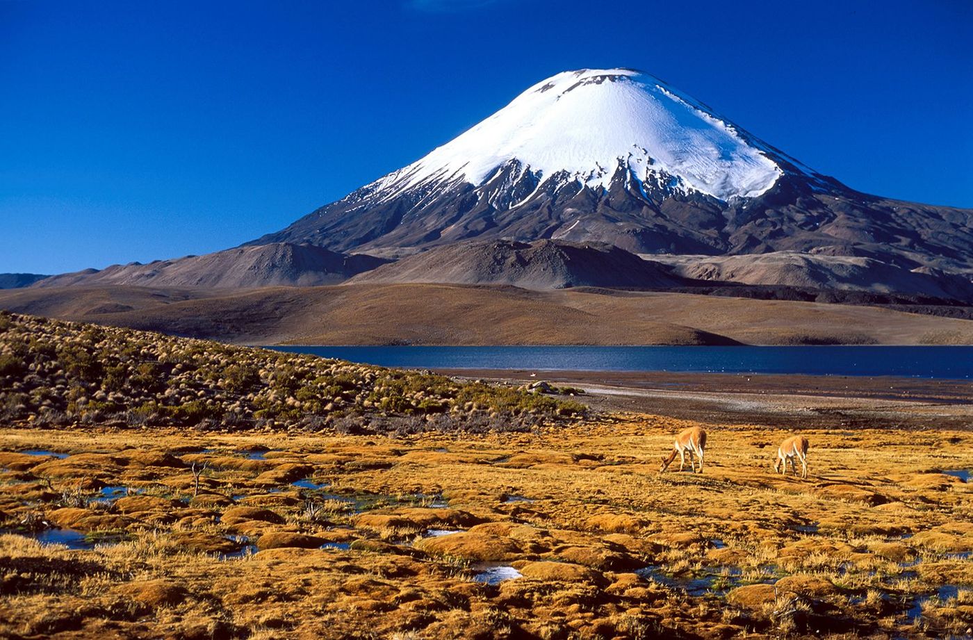 parc national Lauca