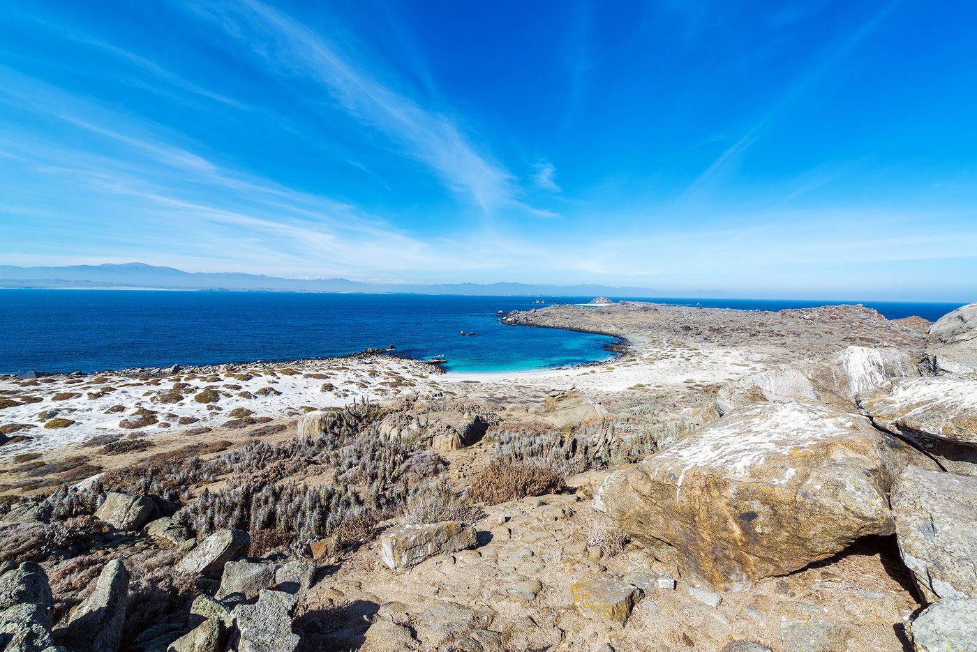 chili damas island
