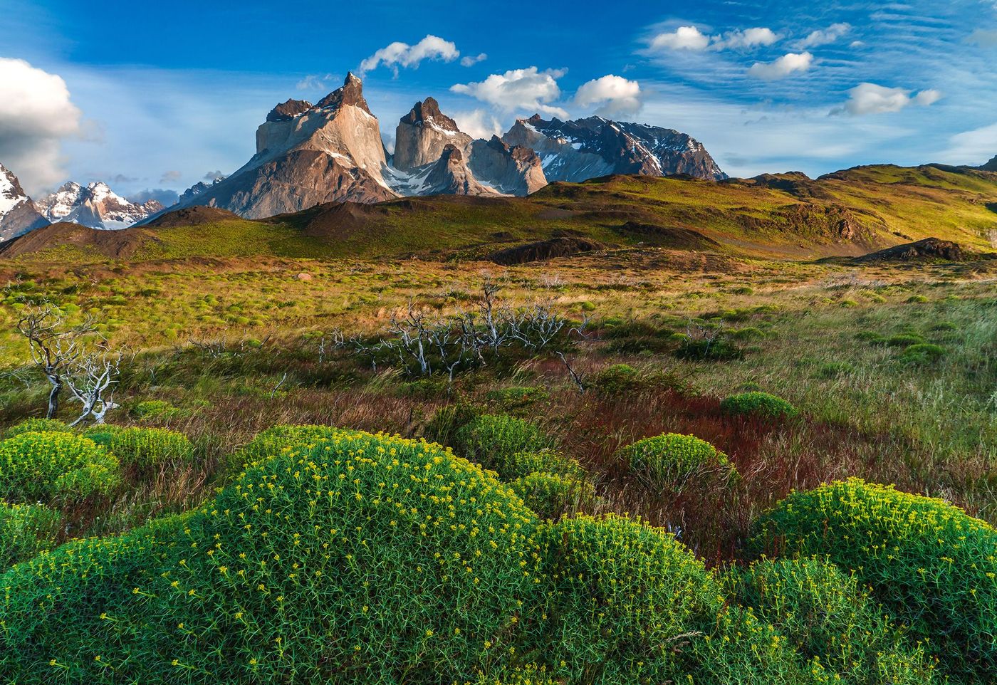 chili torres paine