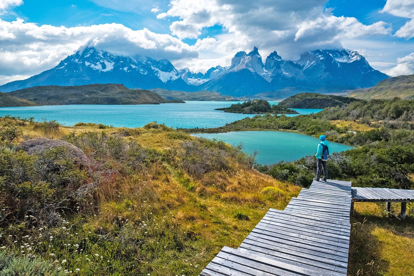 Chili Torres del Paine