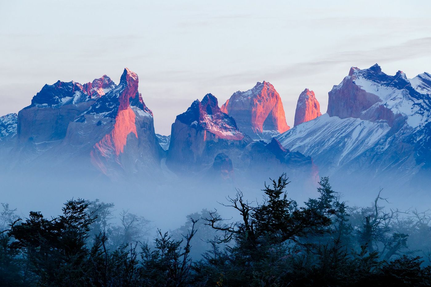 Chili Torres del Paine