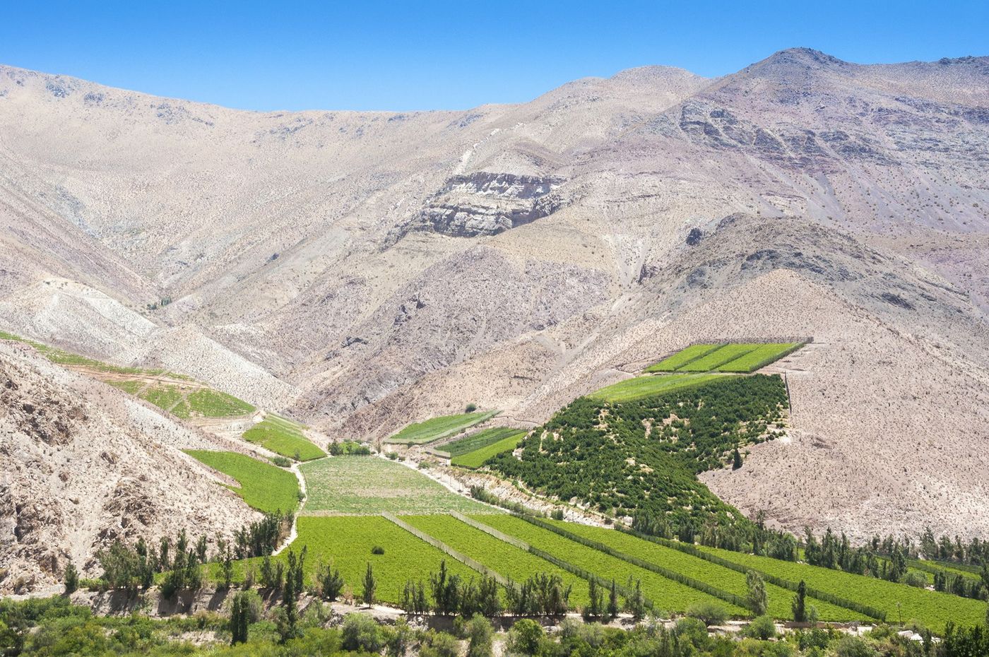 chili vallee elqui