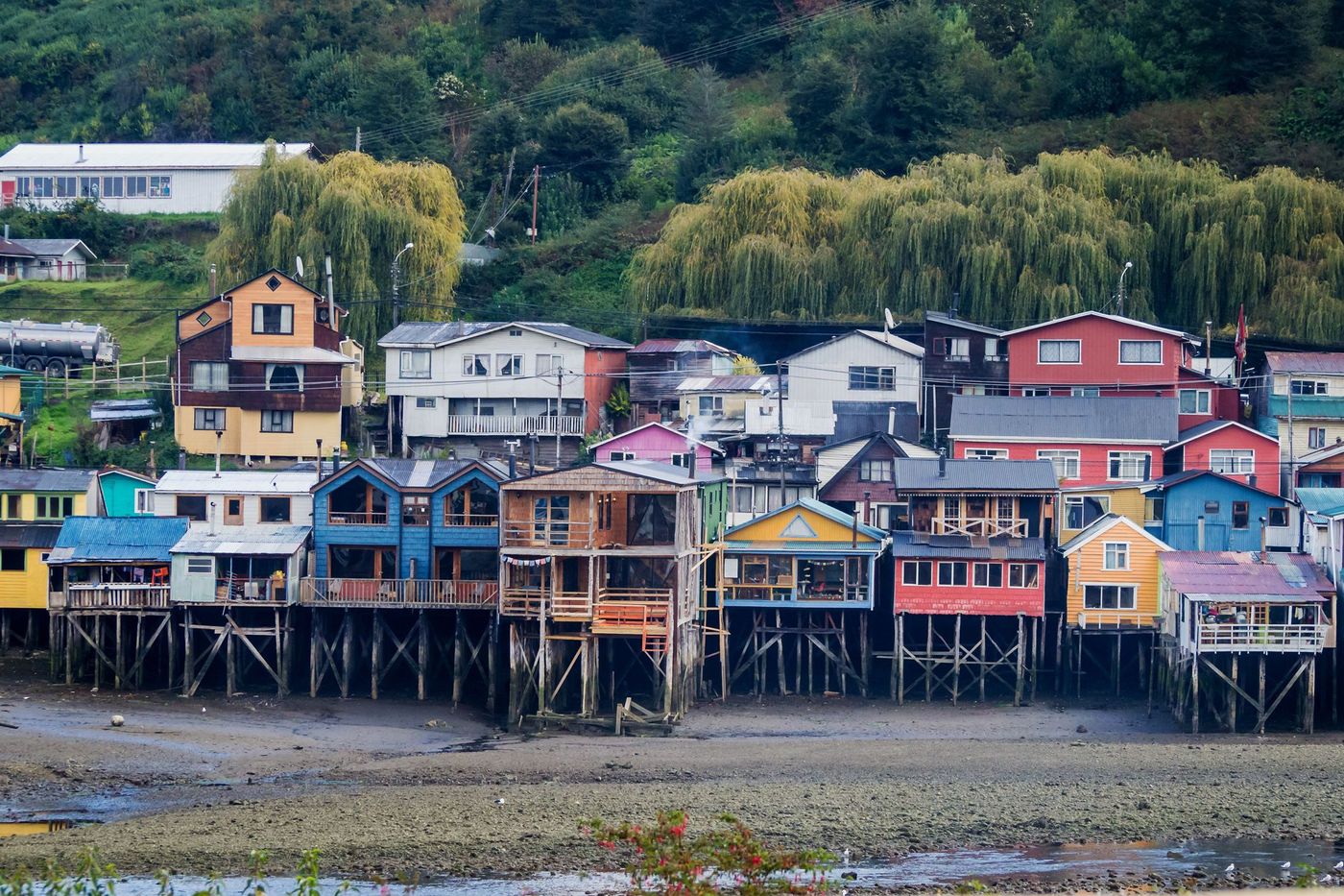 Chiloe Chili Ile