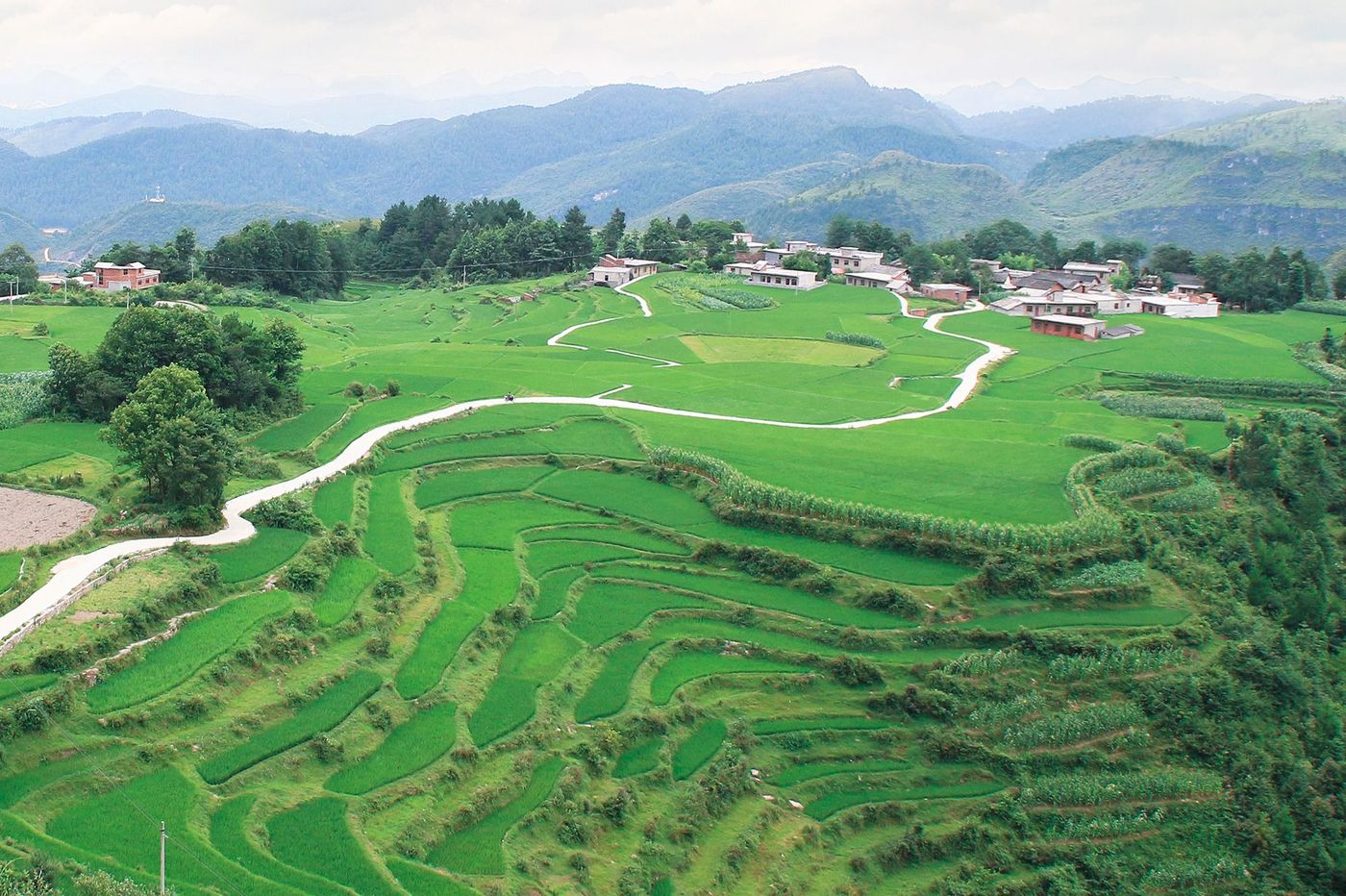 Chine Guizhou Gaopo