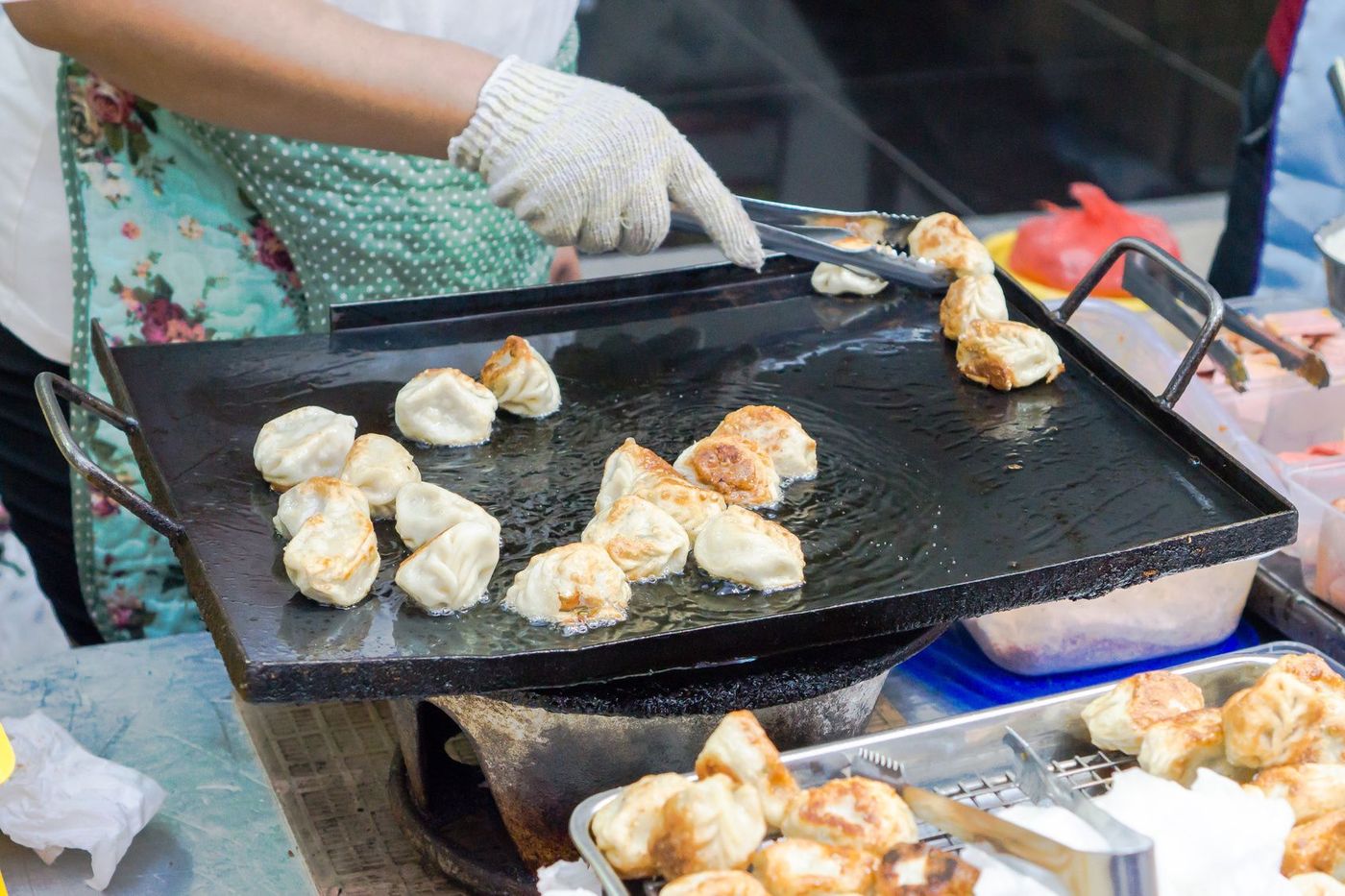 Chine Cuisine Gyoza