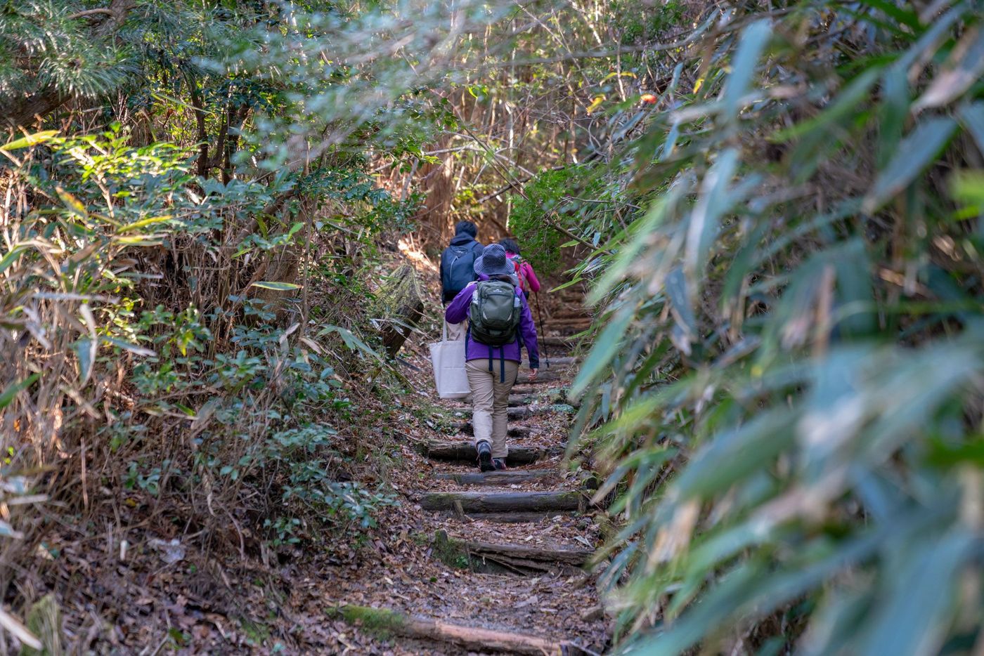 Koyasan Choishi-michi