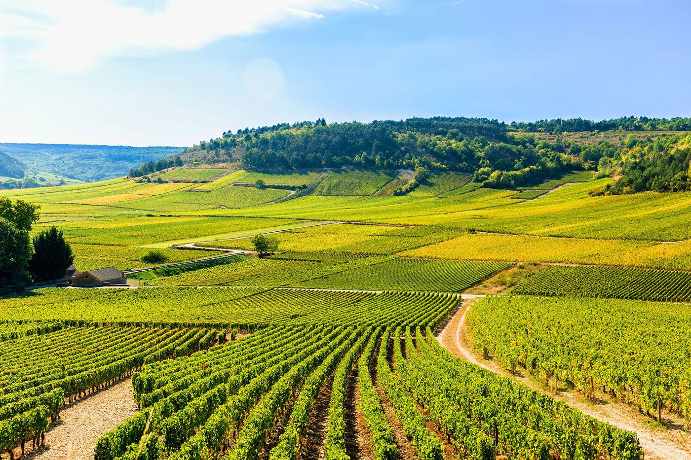 Climats de Bourgogne