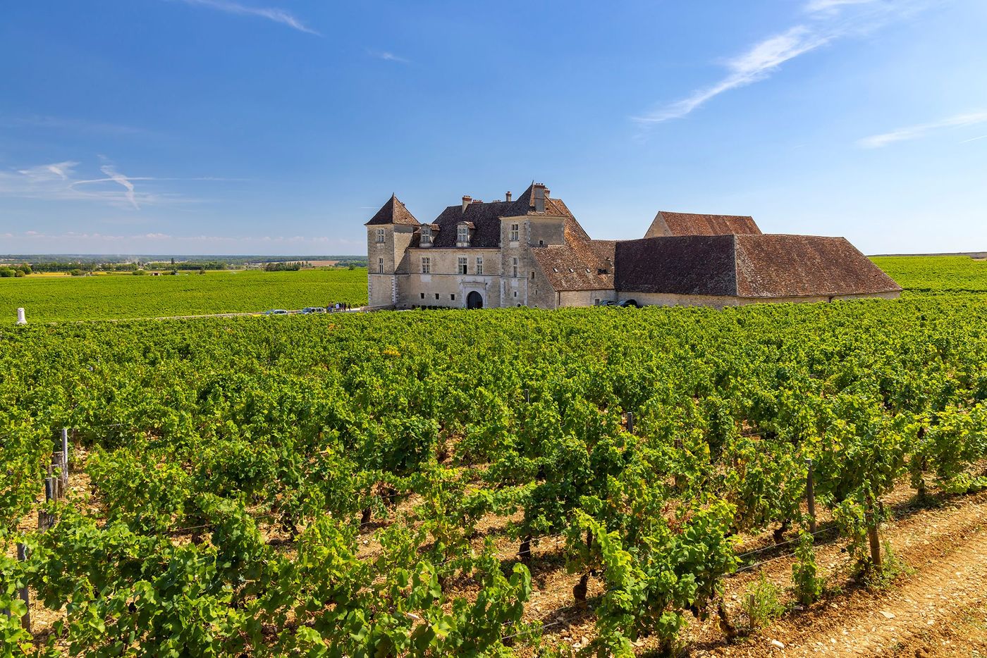 Clos de Vougeot