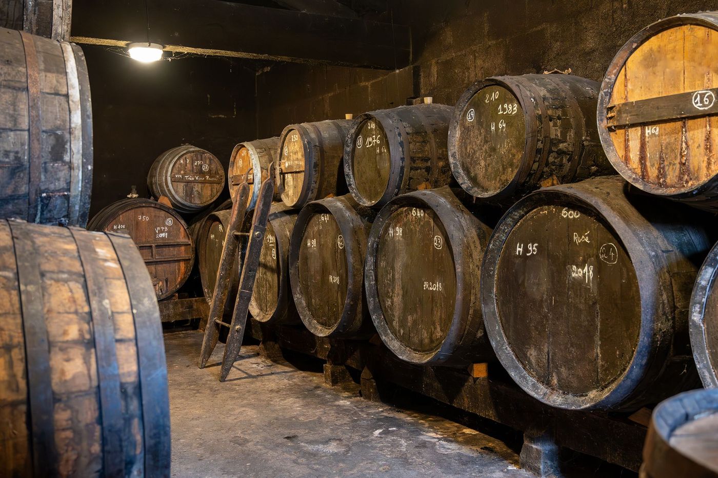 Cognac - fûts en bois de chêne