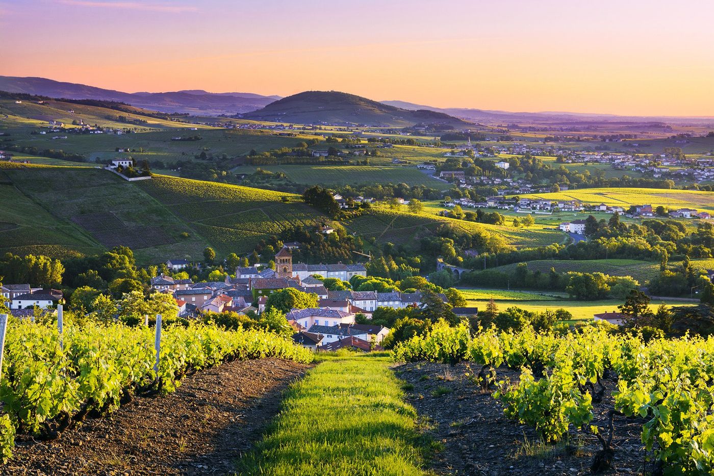 Collines et vignobles de Bourgogne