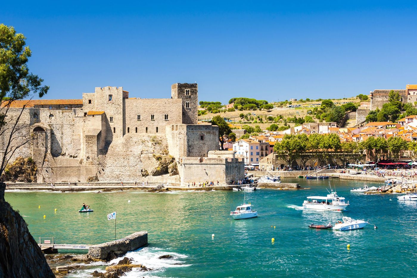 Collioure Port Languedoc Roussillon