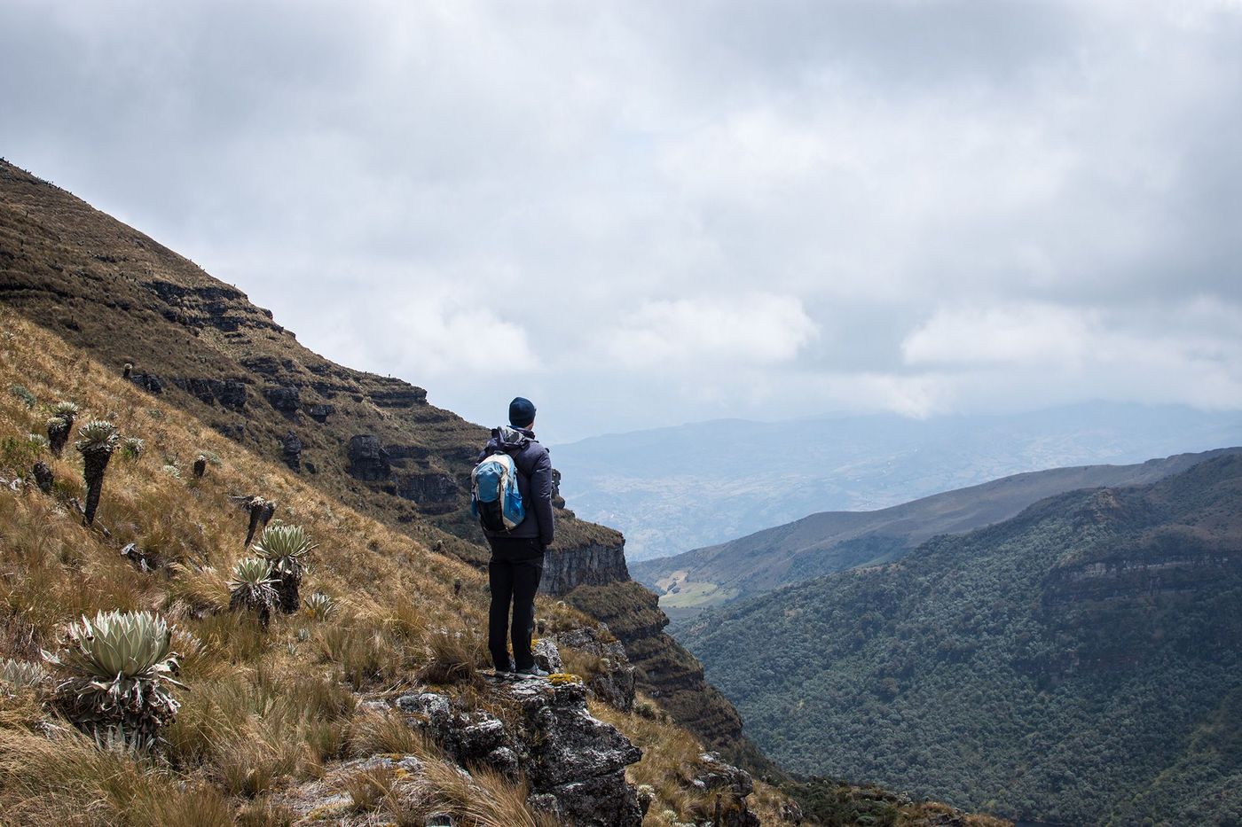 Colombie Paramo de Oceta