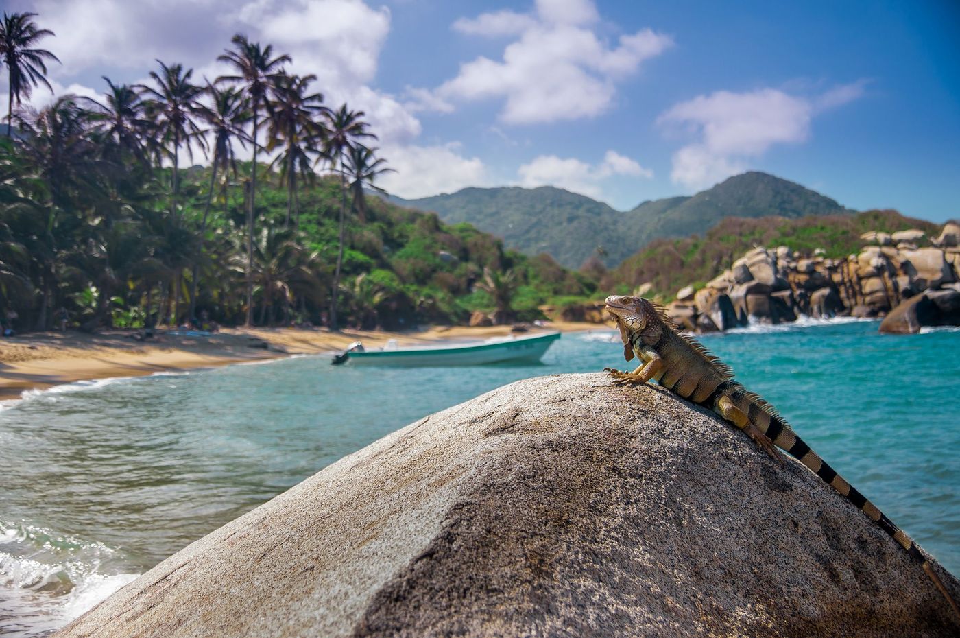 Colombie Parc de Tayrona