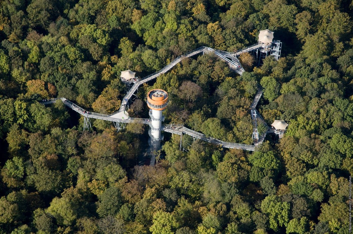 Baumkronenpfad