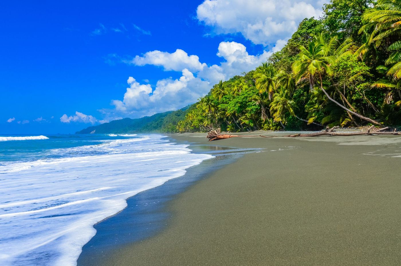Corcovado Plage Costa Rica