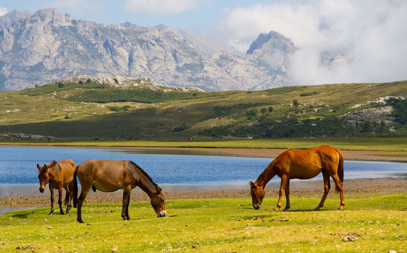 Corse Lac de Nino