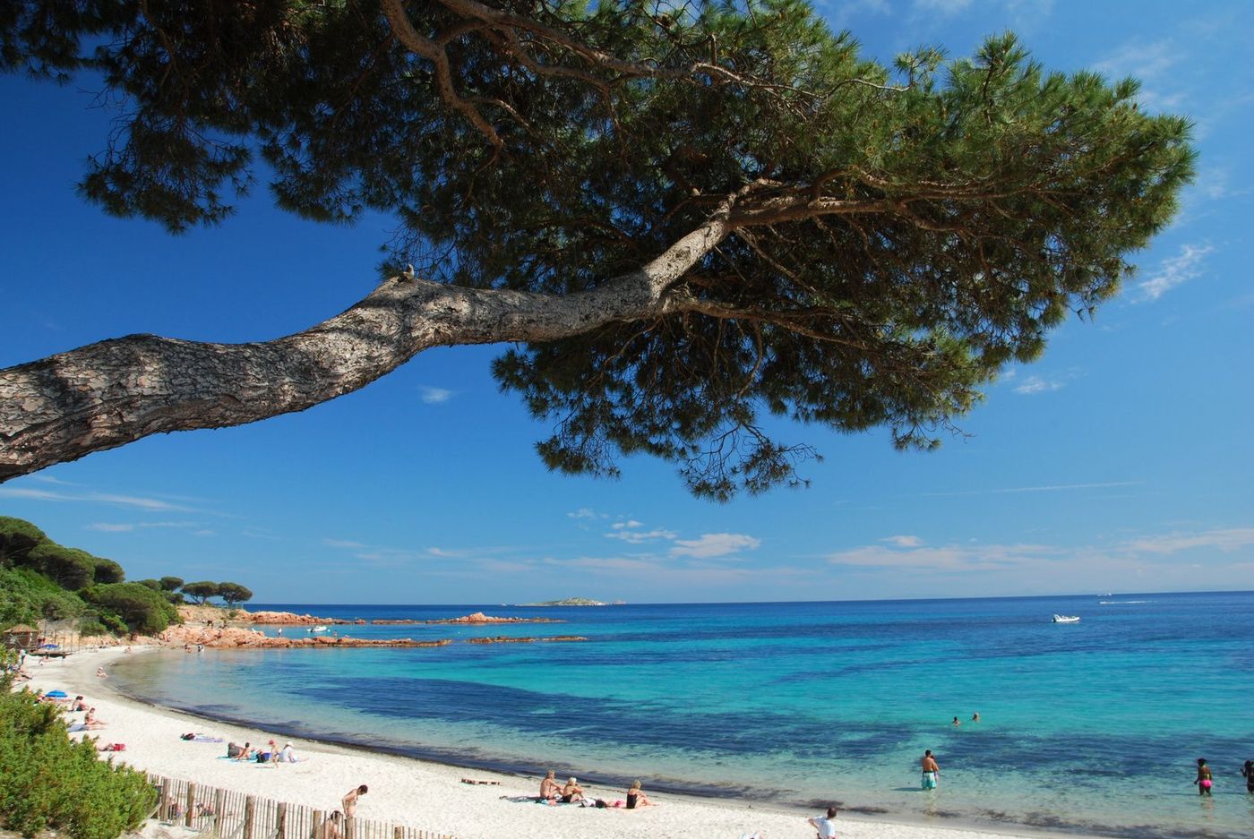 Corse Palombaggia Plage