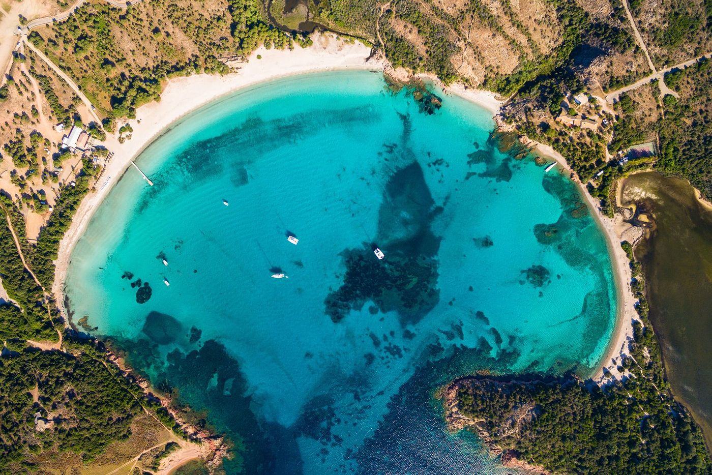 Corse Rondinara
