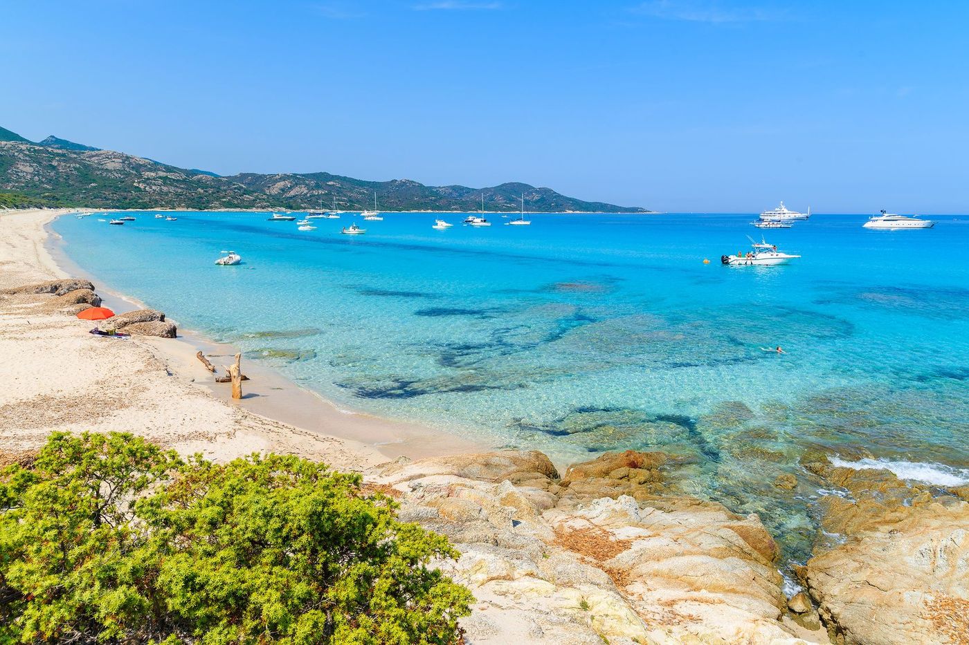 Corse Saleccia Plage