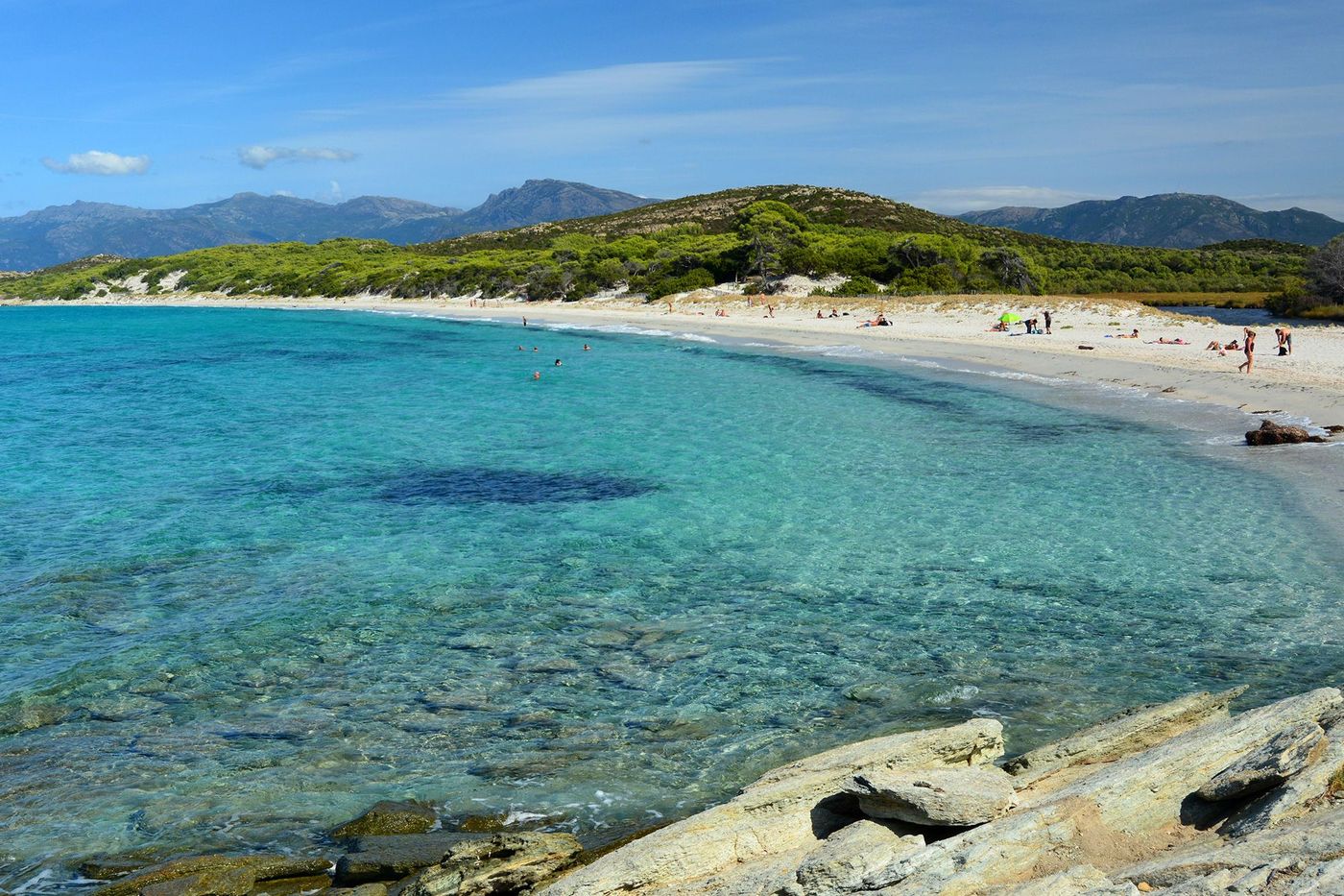 Corse Saleccia
